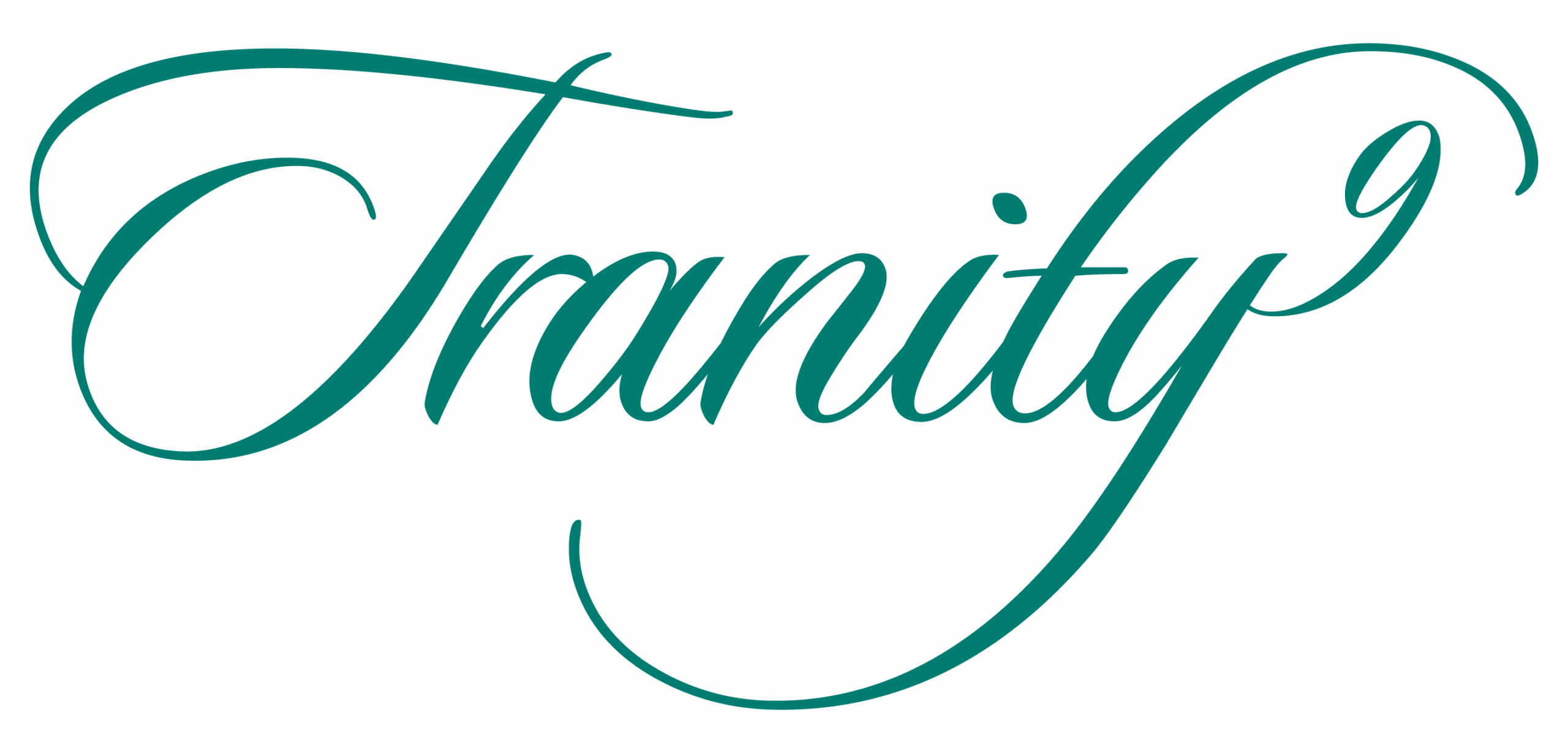 tranity9-text-logo-grün-transparent